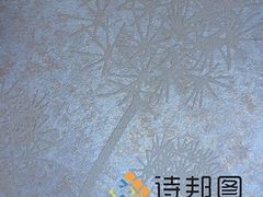 中國新型環(huán)保建材--買優(yōu)惠的綠色建材,就來詩邦圖-詩邦圖(中國)品牌運營總部提供中國新型環(huán)保建材--買優(yōu)惠的綠色建材,就來詩邦圖的相關介紹、產品、服務、圖片、價格肌理漆、肌理壁膜、福建肌理漆、肌理壁膜漆代理、硅藻泥廠家、肌理液體壁紙、