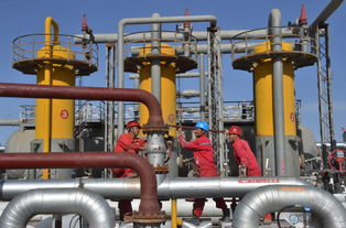 中石化西北油田分公司采油三廠 11 1站來液進站閥組流程順利投運